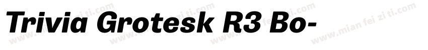Trivia Grotesk R3 Bo字体转换